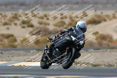 media/Apr-10-2022-SoCal Trackdays (Sun) [[f104b12566]]/Turn 5 Tree of Life (1040am)/